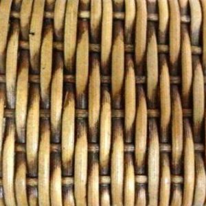 Trama Bananeira Escurecida Tocantins